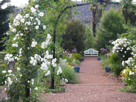 Delderfield Cottages - Gold Coast 4U 0