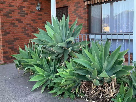 Delicate And Cozy Bedroom In Bentleigh East - Gold Coast 4U 2