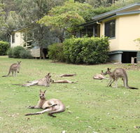 Depot Beach Cabins - Gold Coast 4U