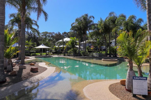 Dollarbird Treetops Townhouse - Accommodation Gold Coast 1