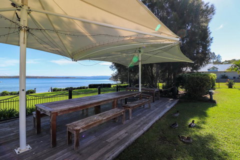 Dollarbird Treetops Townhouse - Accommodation Gold Coast 2