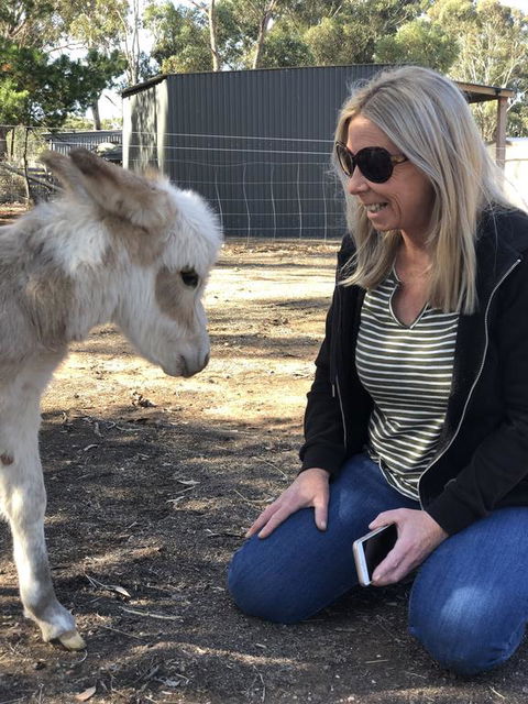 Donkey Tales Farm Cottages - Gold Coast 4U 1