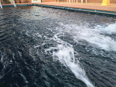Dragon Phoenix Resort - Accommodation Gold Coast 1