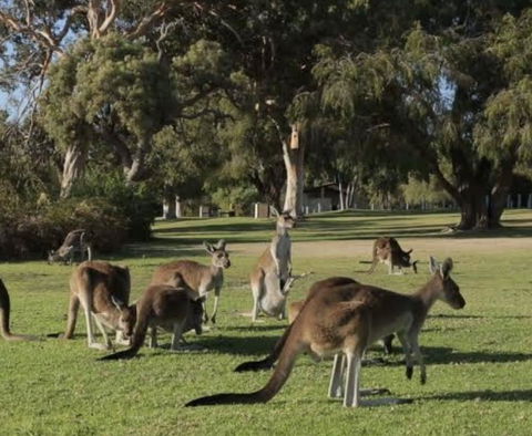 Eastern Hill Creswick - Gold Coast 4U 1