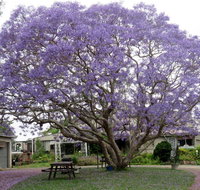 Ecotel Narooma - 1 Gold Coast