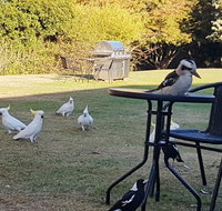 Eildon Parkview Motor Inn - Accommodation Gold Coast