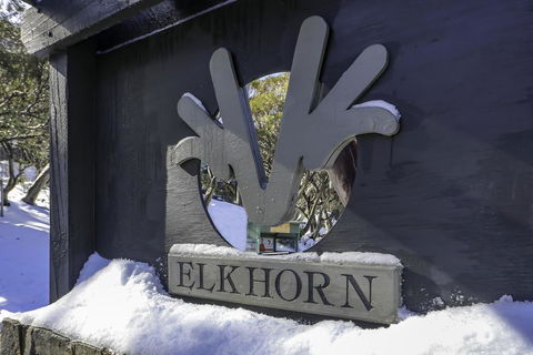 Elkhorn 11 - Gold Coast 4U 2