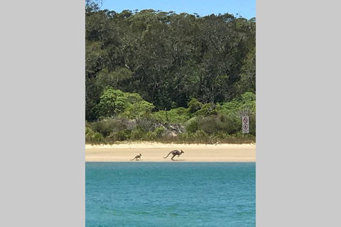 FAIRVIEW COTTAGE 25B - Waterfront Accommodation - Accommodation Gold Coast 0