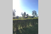 Book Benalla Accommodation Vacations Accommodation Gold Coast Accommodation Gold Coast