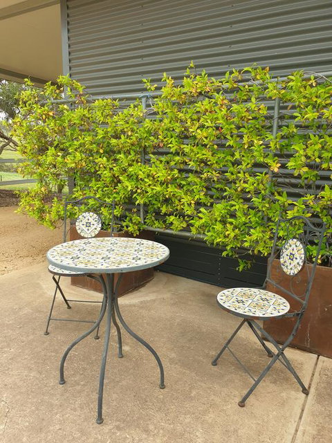 Farm Stay Studio - Accommodation Gold Coast 2