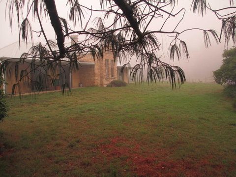 Ferndale B&B - Accommodation Gold Coast 1