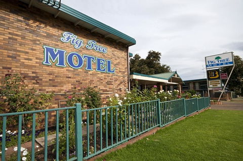 Fig Tree Motel - Accommodation Gold Coast 2