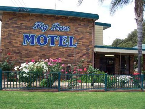 Fig Tree Motel - Accommodation Gold Coast 1
