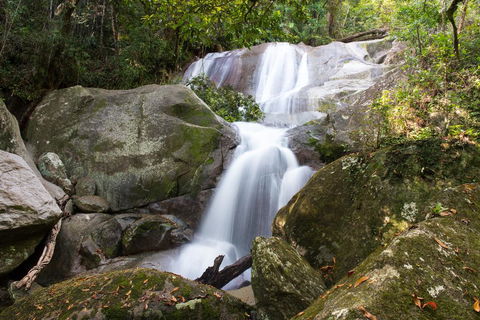 Fishery Falls Holiday Park - Accommodation Gold Coast 3