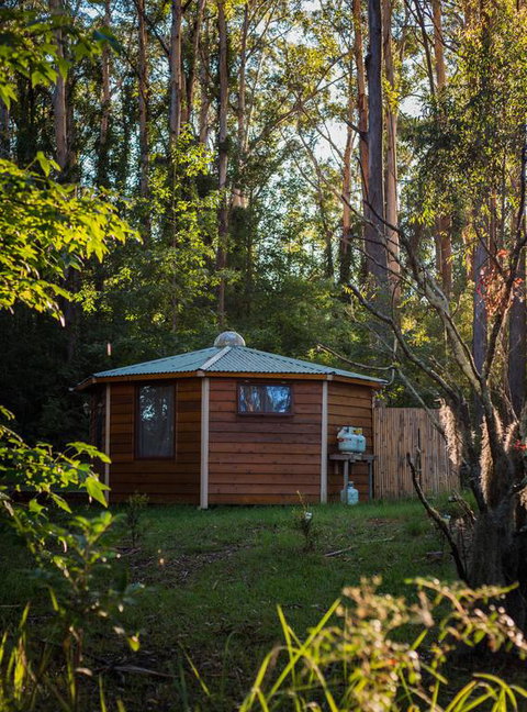 Funky Yurt On Acreage - Accommodation Gold Coast 3