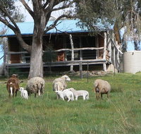 Gaddleen Grove Cottages - Accommodation Gold Coast