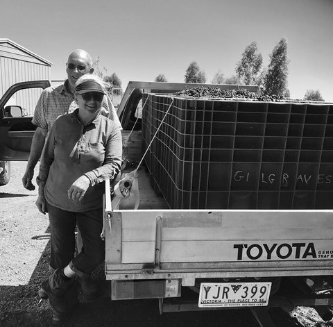 Gilgraves Vineyard Farmstay - Accommodation Gold Coast 2
