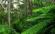 Glenaire Cottages - thumb 1