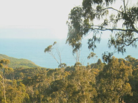 Glenaire Cottages - Accommodation Gold Coast 2