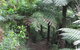 Glenaire Cottages - thumb 3