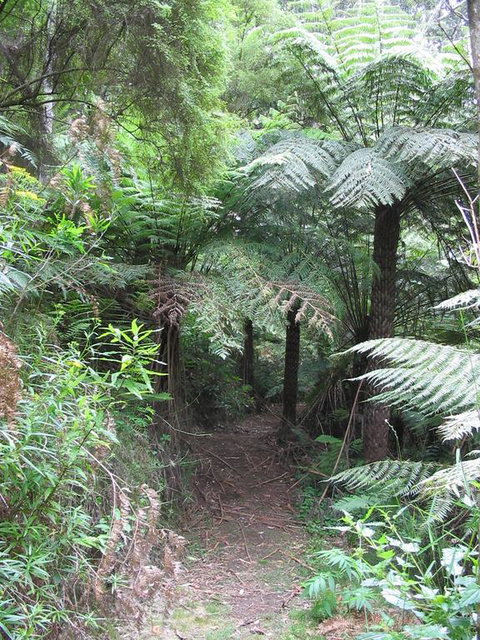 Glenaire Cottages - Accommodation Gold Coast 3