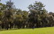 Golfer's Retreat, Mollymook - thumb 0