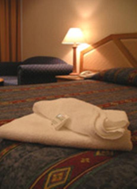 Goulburn Central Motor Lodge - Gold Coast 4U 3