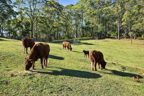 GOWAN ROSS COTTAGE - Gold Coast 4U 1