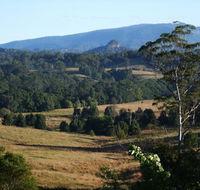 Grey Gum Lodge - Accommodation Gold Coast