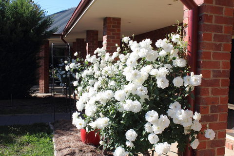 Gundaroo Manor Bed & Breakfast - Accommodation Gold Coast 3