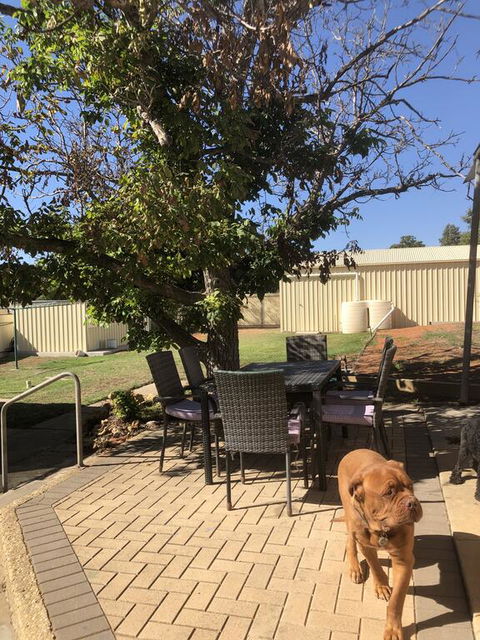 Happy Hours - Accommodation Gold Coast 2