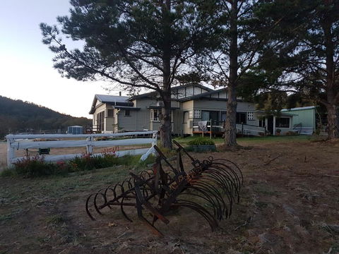 Happy Pig Farm - Accommodation Gold Coast 2