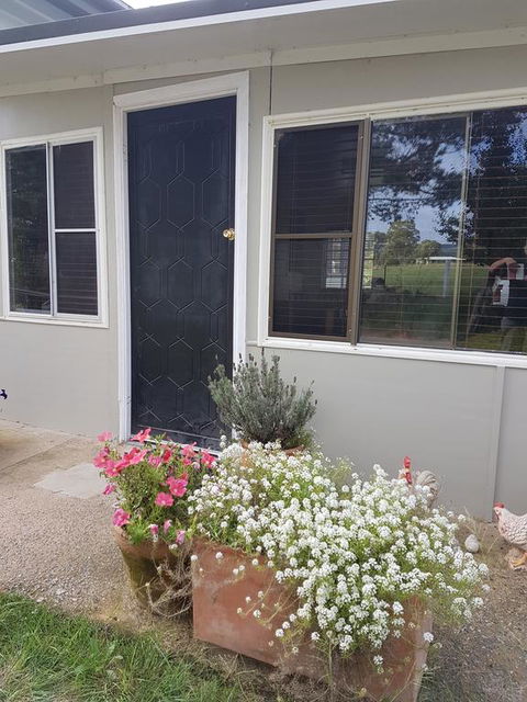 Happy Pig Farm - Accommodation Gold Coast 3