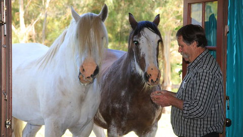 Hatchers Richmond Manor - Accommodation Gold Coast 1