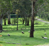 JAN'S ART STUDIO AT ASHBY RISE - Accommodation Gold Coast