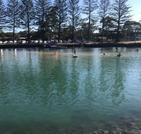Jaspers Apartments - Gold Coast 4U