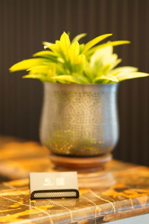 Jephson Hotel & Apartments - Accommodation Gold Coast 3
