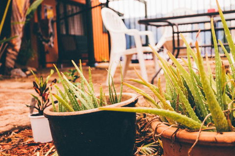 JJs Backpackers Hostel - Accommodation Gold Coast 2