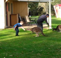 Kalgan River Chalets and Caravan Park - Accommodation Gold Coast