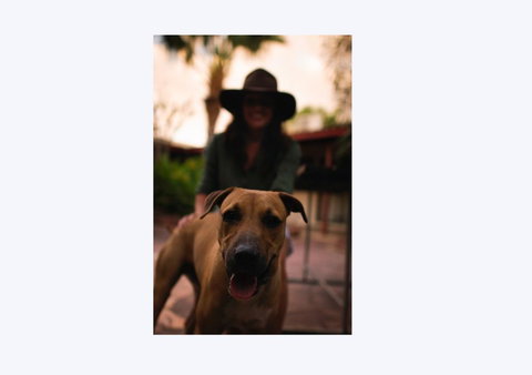 Kimberley Croc Motel - Accommodation Gold Coast 1