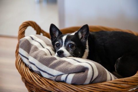 Kingaroy Country Motel - Accommodation Gold Coast 3