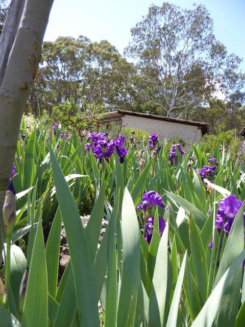 Lakeside Lodge Armidale - Accommodation Gold Coast 3