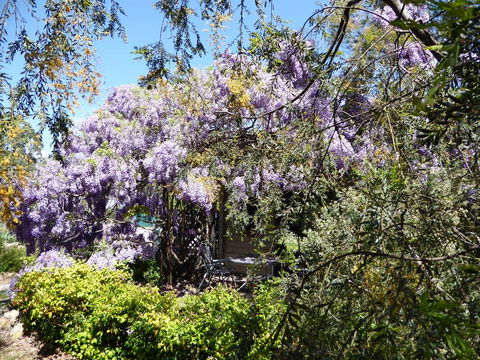 Lakeside Lodge Armidale - Accommodation Gold Coast 1