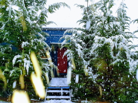 Lakeside Studio - Accommodation Gold Coast 0
