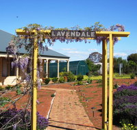 Lavendale Farmstay and Cottages York - Accommodation Gold Coast
