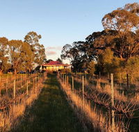 Lillicur Vineyard BB - Accommodation Gold Coast