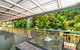 Lilybank Guest House - thumb 2