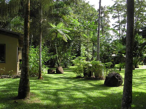 Lync Haven Rainforest Retreat - Accommodation Gold Coast 3