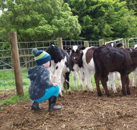 Manderley Park Farmstay BB - Accommodation Gold Coast