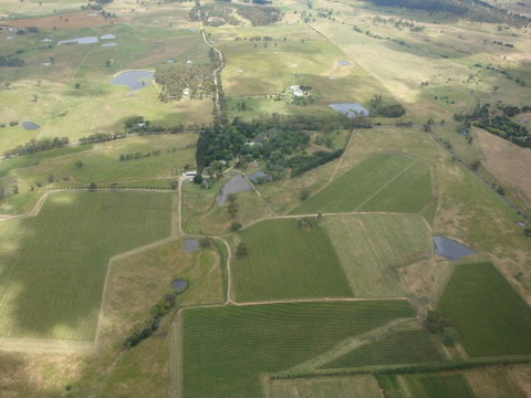 Mayfield Vineyard - Accommodation Gold Coast 0